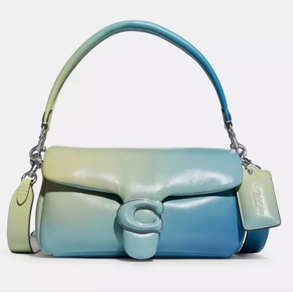 Coach Blue and Green Women's Bag